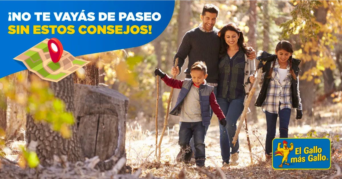 ¡Checklist de lo que no te puede faltar en un paseo! 